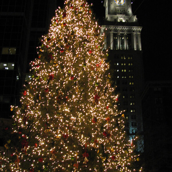 ESS The Halifax and Boston Christmas tree tradition 580 CFRA Omny.fm