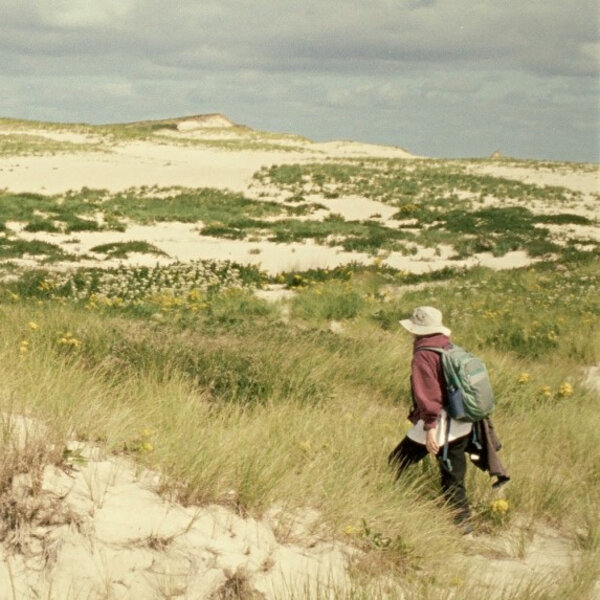 OAW Why solitude can be good for you, and what makes it different from