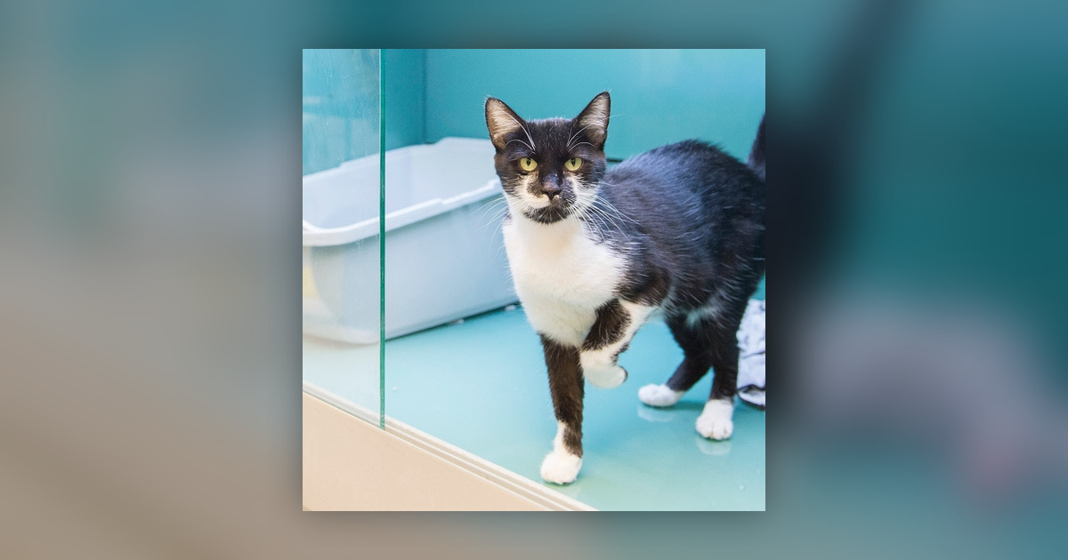 Ottawa Now We Can T Help Anymore We Re At Maximum Capacity