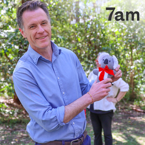 Have the Greens lost their appetite for a fight? - 7am