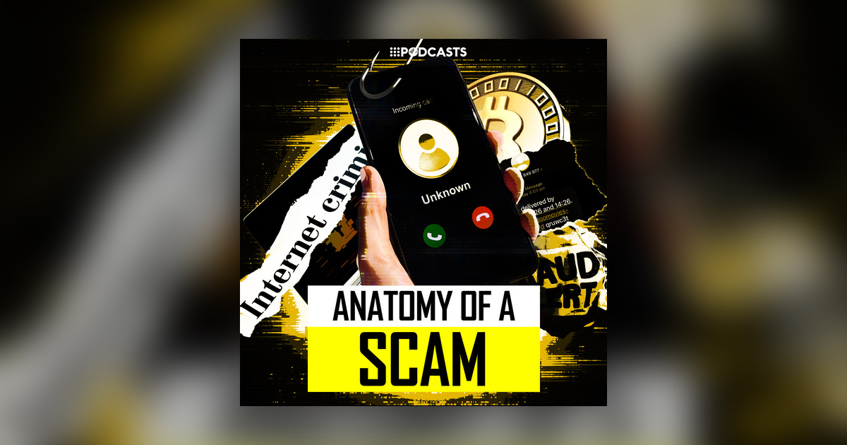 The individual building blocks of scams and fraud - Anatomy of a Scam ...