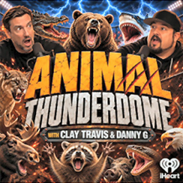 Animal Thunderdome: Angry Bear Attacks Car, Shark Terrorizes Family ...