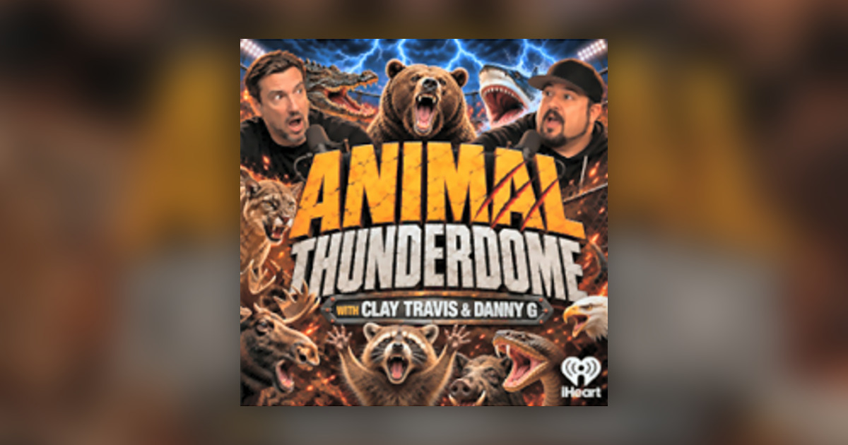 Angree Car Animal Thunderdome: Angry Bear Attacks Car, Shark Terrorizes Family ...