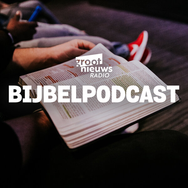 Dag 124: Numeri 14 Romeinen 1 - Lees de Bijbel in twee jaar