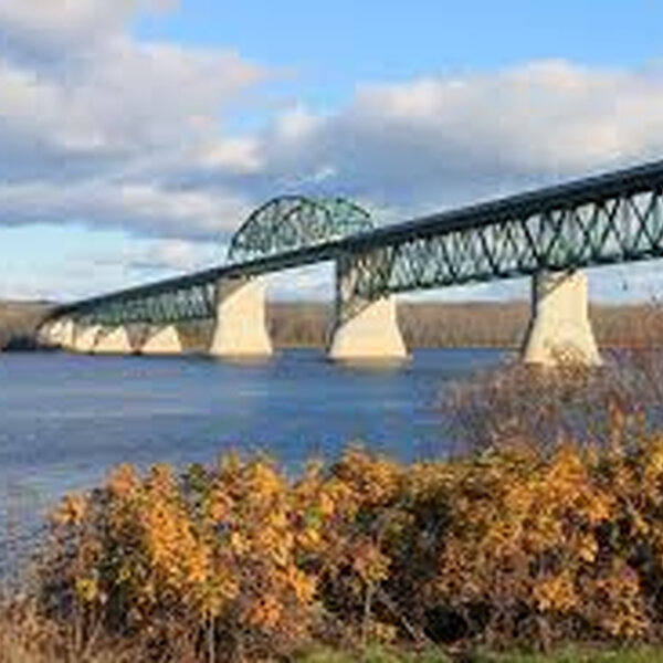 drama-on-the-princess-margaret-bridge-leads-to-arrest-bounce-105-3