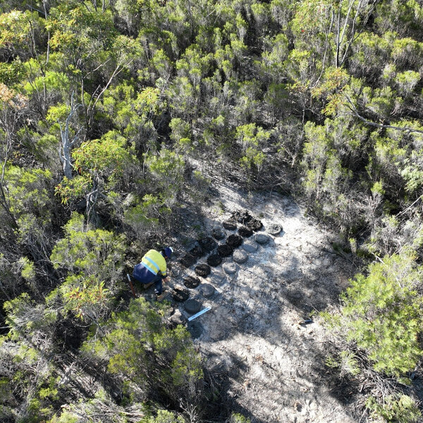 Mount Ridley Mines: The largest gallium resource in Australia found ...