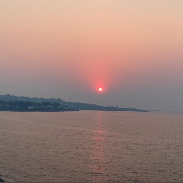 How does the smoke affect birds? CFAX 1070 Omny.fm