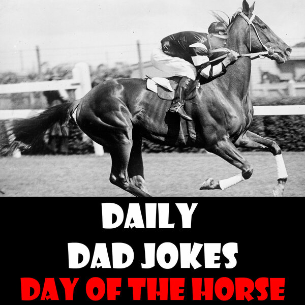 Day of the Horse! Check out these stable dad jokes! 13 December 2023