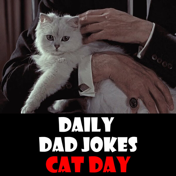 Global Cat Day! Cat-as-trophic Dad Jokes! 16 October 2024 - Daily Dad ...