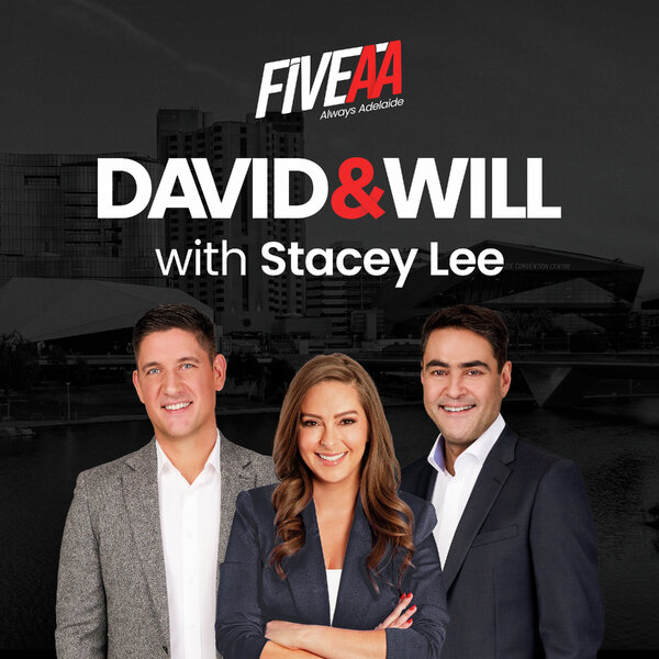 Minister’s story about Mali and stealthy Whyalla meeting - David & Will ...