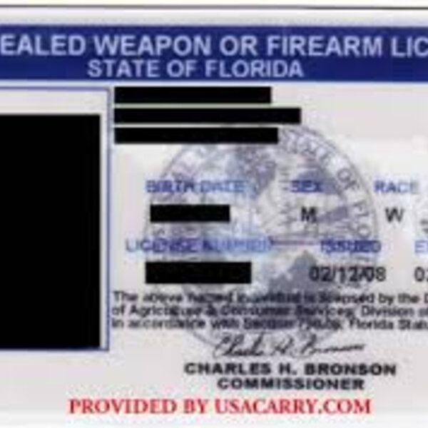 New requirements considered for Florida’s concealedweapon licenses