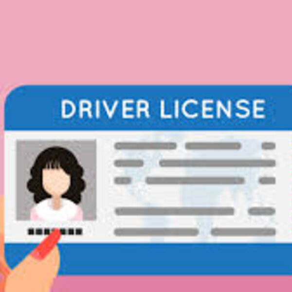 check if fl drivers license is suspended
