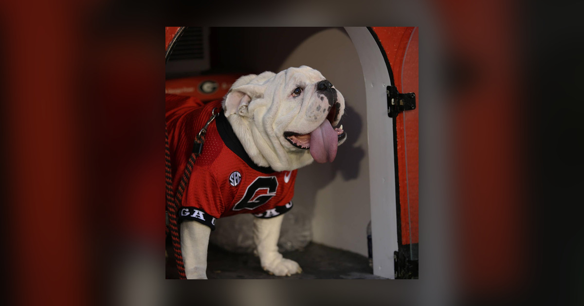 Charles Seiler talks Uga winning best mascot, other stories from the