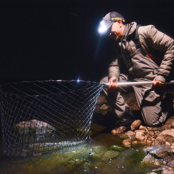 Solunar Tables In Fisherman Awesome Home