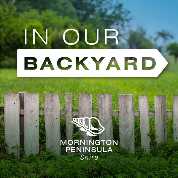 Welcome to Her Story - In Our Backyard - Omny.fm
