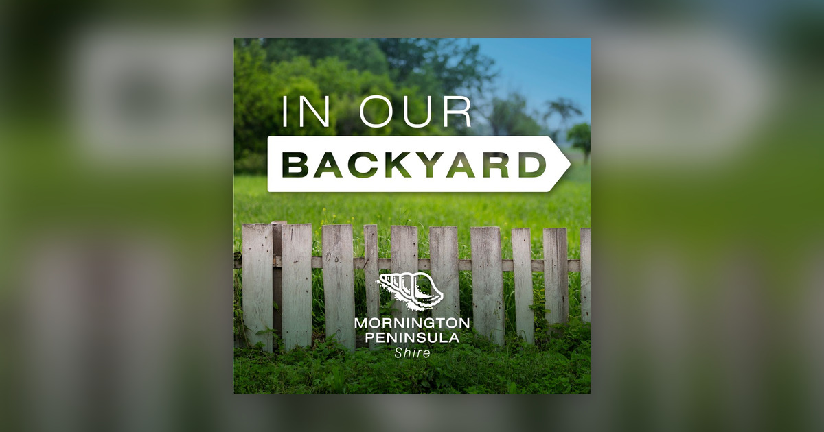 Welcome to Her Story - In Our Backyard - Omny.fm