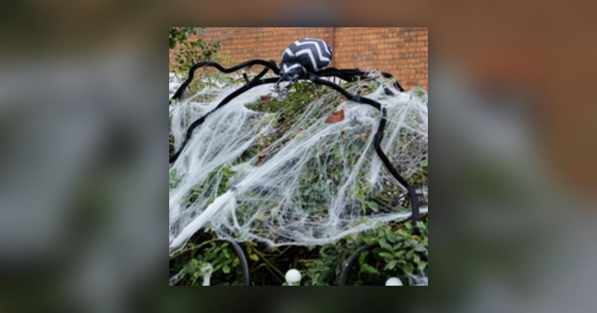 Hallowe'en Cobwebs: A Wildlife Hazard