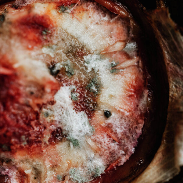 What happens if you accidentally eat mold? Moore in the Morning Omny.fm