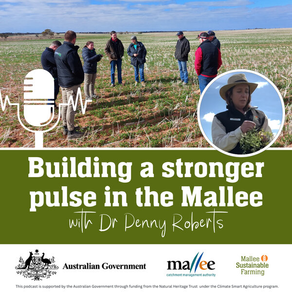 Building a stronger pulse in the Mallee - MSF Farm Talk - Omny.fm