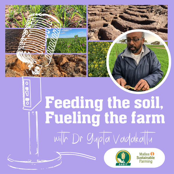 Feeding the Soil, Fueling the Farm - MSF Farm Talk - Omny.fm