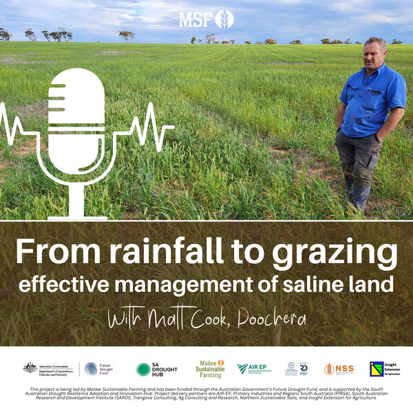 From rainfall to grazing - effective management of saline land - MSF ...