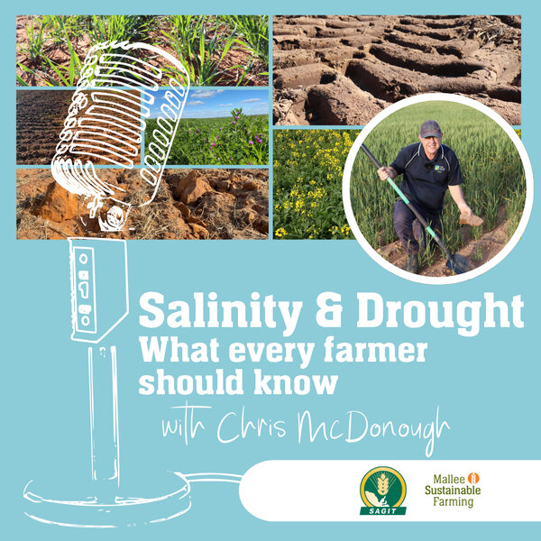 Salinity and Drought - What every farmer should know - MSF Farm Talk ...