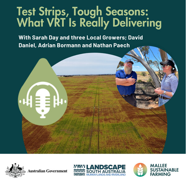 Test Strips, Tough Seasons: What VRT Is Really Delivering - MSF Farm ...