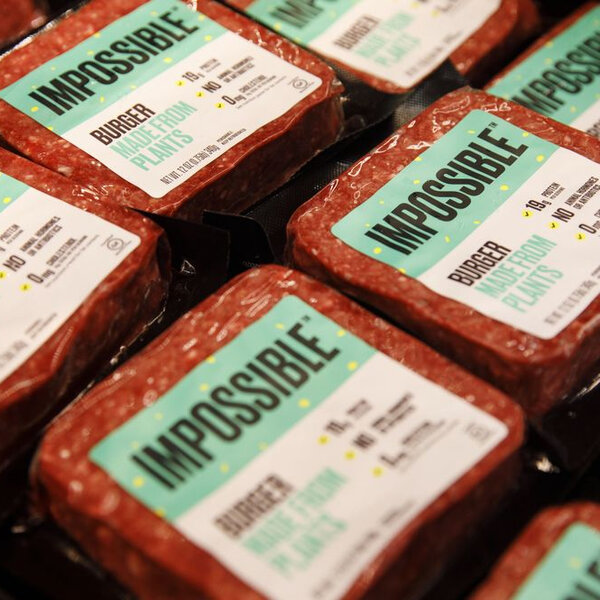 IMPOSSIBLE MEAT Entirely Plant Based Meat Now Available For Purchase
