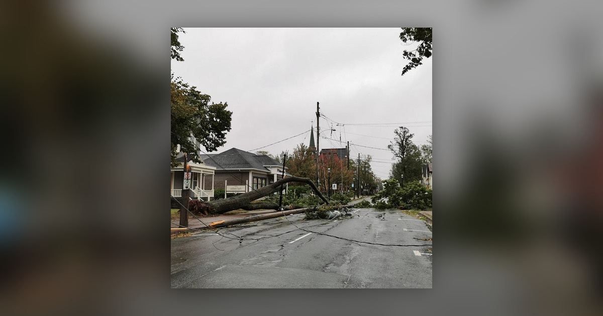 Live Stream Fiona Fundraiser Concert Happening This Weekend - Nova ...