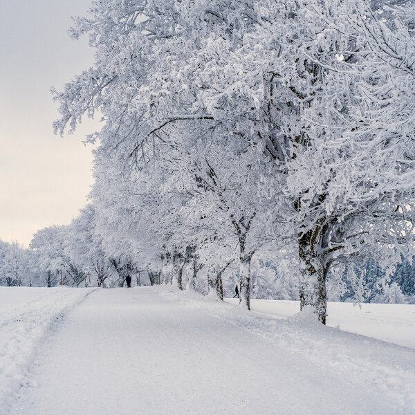 Solstice Celebrations Around The World - Nova Scotia's Pure Country 99.5 - Omny.fm