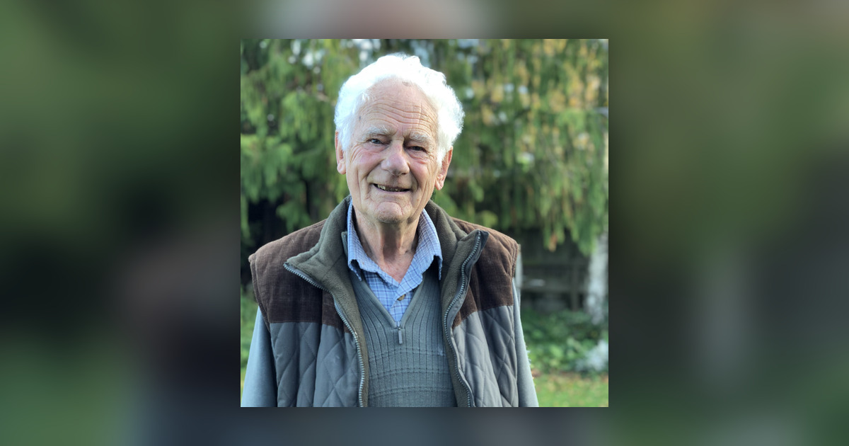 The trees of Petersfield - Robin Hart on the Ginkgo biloba ...