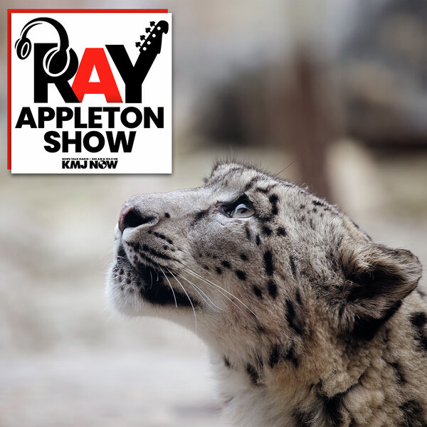 New Faces: An Update From Project Survival Cat Haven - Ray Appleton ...