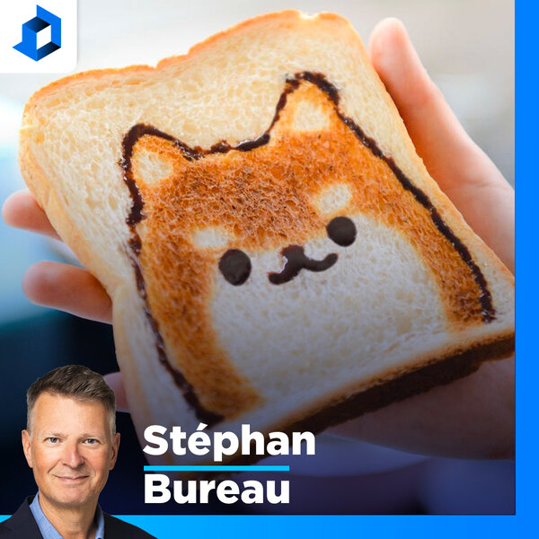 #ToastGate : «C’est la perte du compas logique et moral», constate ...