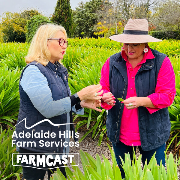 adelaide-hills-farmcast-may-edition-adelaide-hills-fleurieu