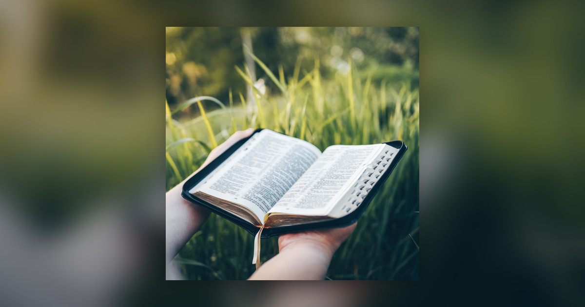 What s The Best Bible Translation The Patrick Madrid Show The Best What s the best bible translation the patrick madrid show the best