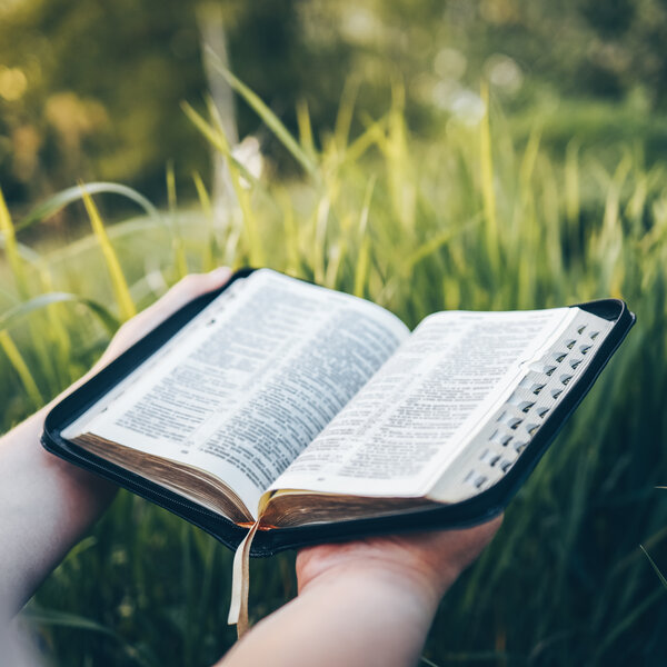 What s the best bible translation the patrick madrid show the best