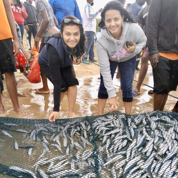 ARE SARDINES SAFE TO EAT? UPDATE WITH JACE GOVENDER The Breakfast