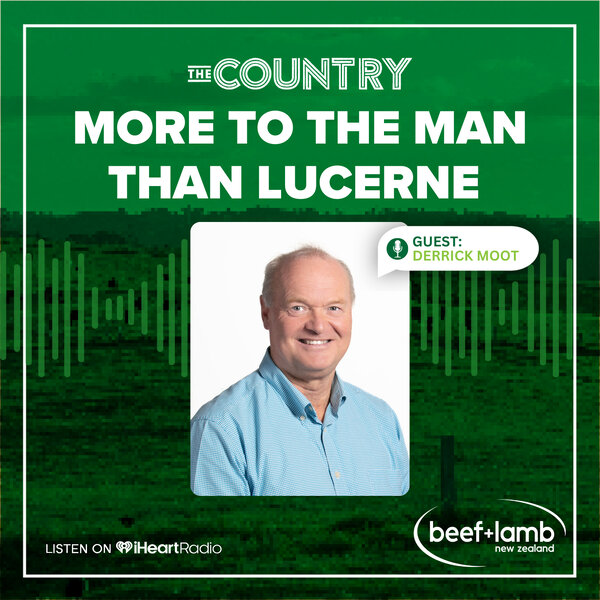 The Country with Beef + Lamb New Zealand: More to the Man than Lucerne ...