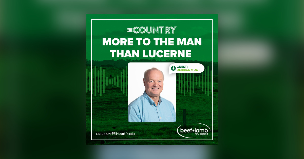 The Country with Beef + Lamb New Zealand: More to the Man than Lucerne ...