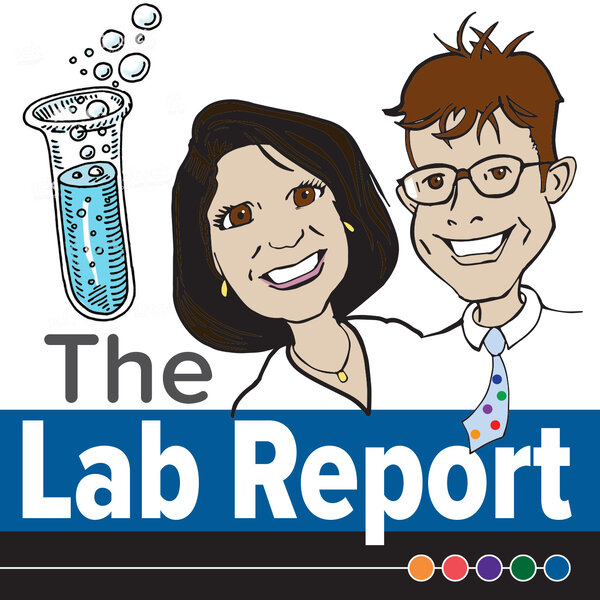 Can you Identify SIBO On A Stool Test? The Lab Report Podcast Omny.fm