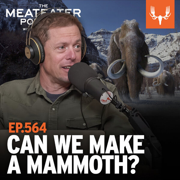 Ep. 564 Deextinction Can We Make a Mammoth, and Why Should We? The