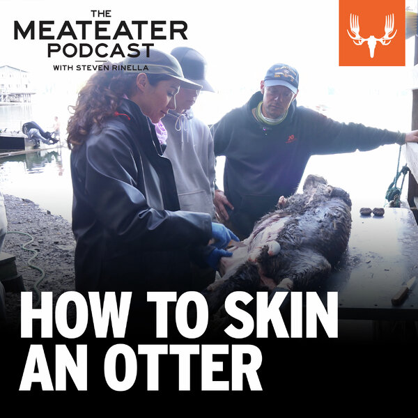 Ep. 754: How to Skin a Sea Otter - The MeatEater Podcast - Omny.fm