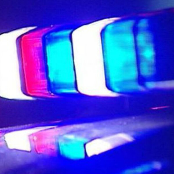 Police investigate Central Coast drowning; Heatherbrae workplace death ...