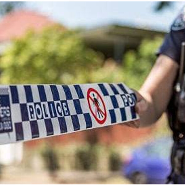 Fate of dogs that fatally mauled a meter reader yet to be decided The