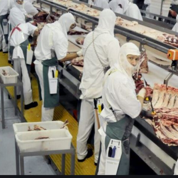 Toowoomba's Beef City plant workers hope to return soon with hundreds