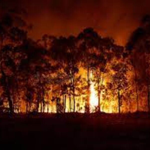 Prepare for SA Bushfires this Spring - The South Australia Briefing ...