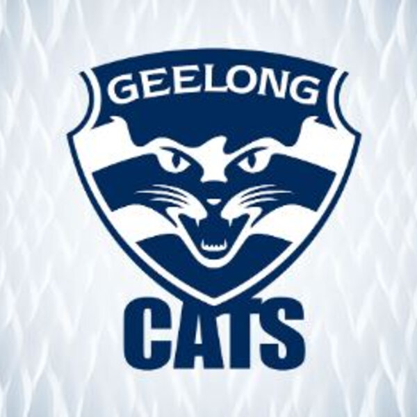 AFL club captains tip Geelong to claim back to back premierships The