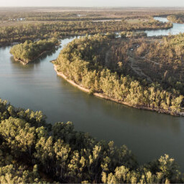 The MDBA makes grim warning on the future of the Murray-Darling Basin ...