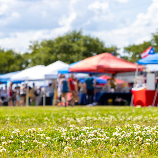 What is next for the Belle Clair Fairgrounds in Belleville? Total