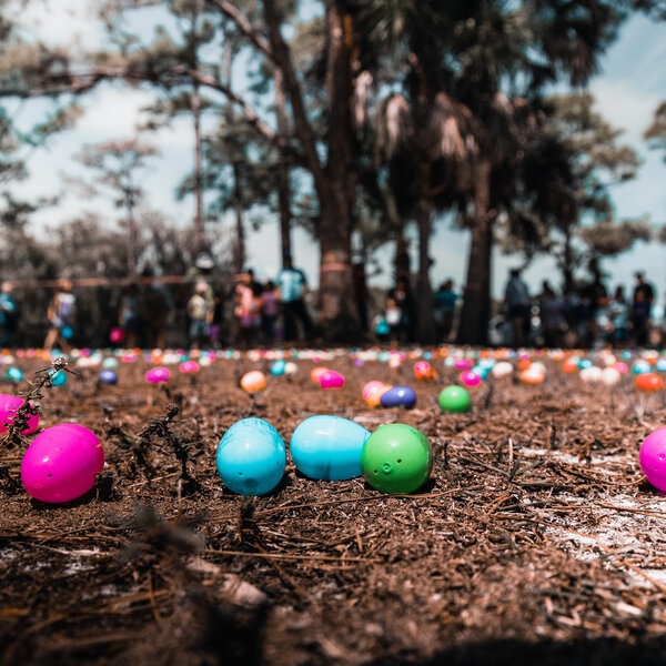 Easter Egg Hunts Outside!? Tyler Shared His Fun, Family Tradition ...